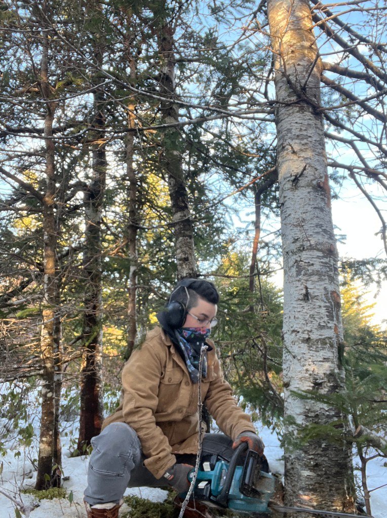A person crouches down with a chainsaw in front of a tree to cut it. There is a very small, skinny stick in the foreground. 