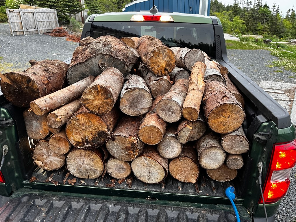 back of a truck with cut logs