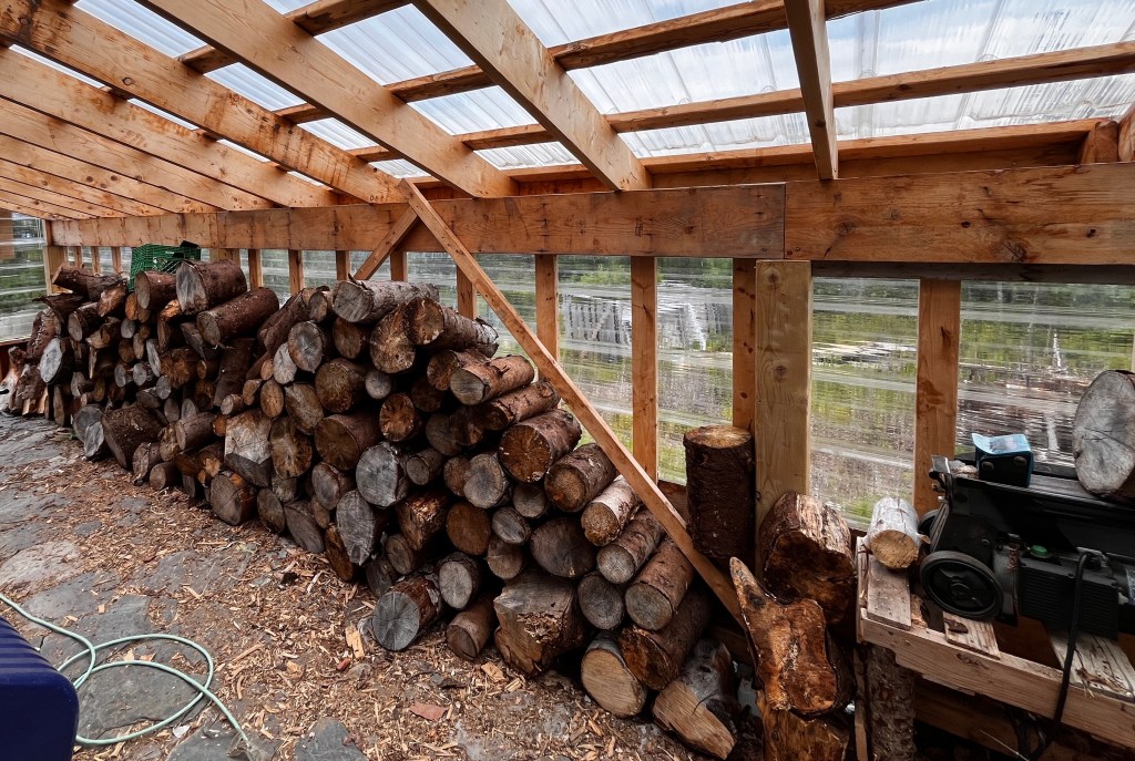 woodpile of unsplit rounds in a shed
